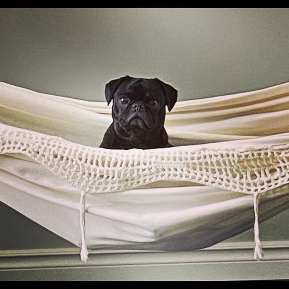 Meet your Posher, Emily - Picture 1 of 1